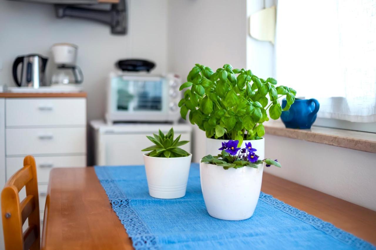 Apartment Casa Banko Rovinj Luaran gambar